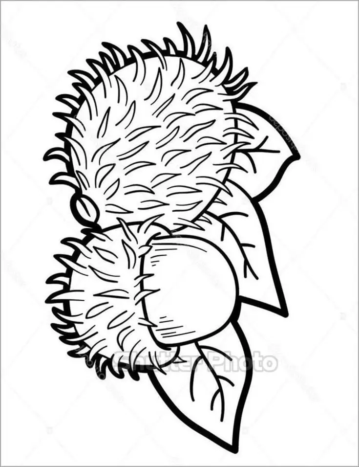 Tranh tô màu trái cây: Sáng tạo và bổ ích cho trẻ nhỏ 3