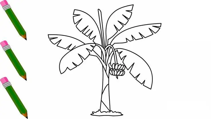 Tranh tô màu trái cây: Sáng tạo và bổ ích cho trẻ nhỏ 22