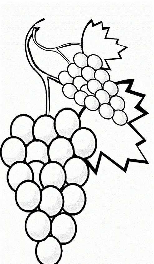 Tranh tô màu trái cây: Sáng tạo và bổ ích cho trẻ nhỏ 24