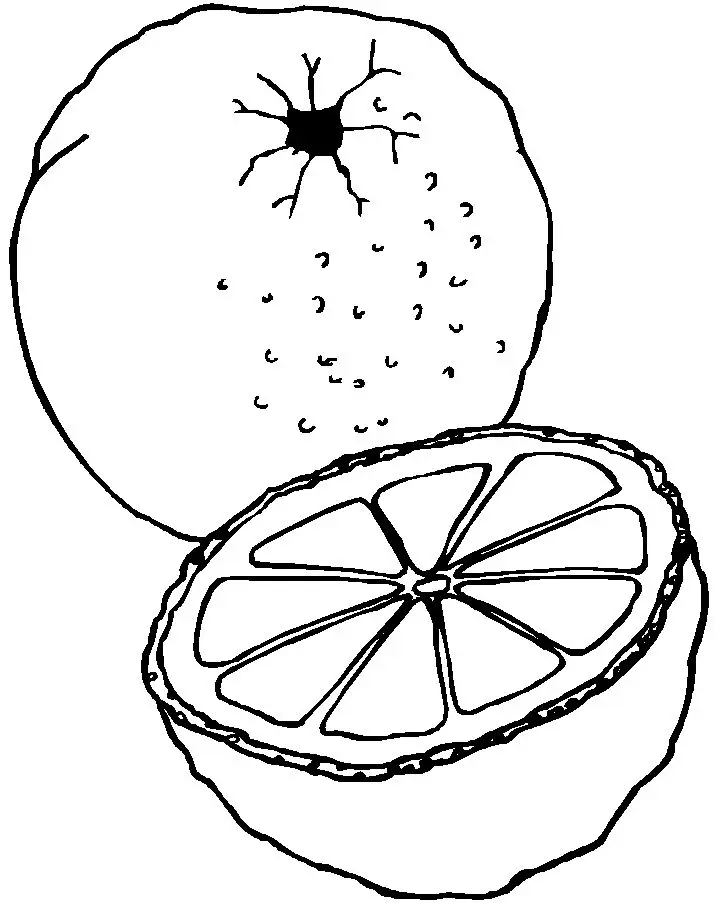 Tranh tô màu trái cây: Sáng tạo và bổ ích cho trẻ nhỏ 37