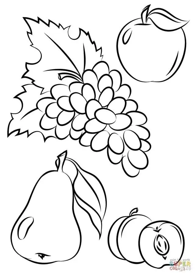 Tranh tô màu trái cây: Sáng tạo và bổ ích cho trẻ nhỏ 60