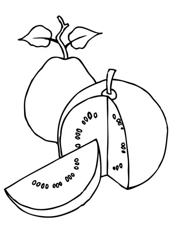 Tranh tô màu trái cây: Sáng tạo và bổ ích cho trẻ nhỏ 69